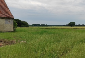 Działka na sprzedaż Oleśnica  836094