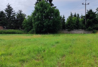 Działka Sprzedam dolnośląskie Oleśnica -3