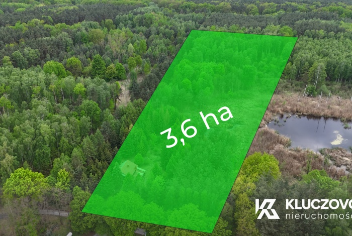 Działka na sprzedaż w Wiskitki Nowa Wieś  o powierzchni 36839 mkw