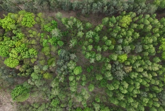 Działka Sprzedam mazowieckie Wiskitki Nowa Wieś-3