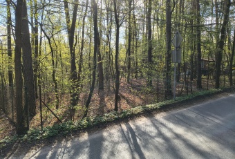 Działka sprzedaż Zgierz Zgierz Letniskowa 7 840 mkw Działka Sprzedam łódzkie Zgierz Zgierz-1