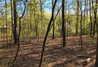 Działka sprzedaż Zgierz Zgierz Letniskowa 7 840 mkw Działka Sprzedam łódzkie Zgierz Zgierz-3