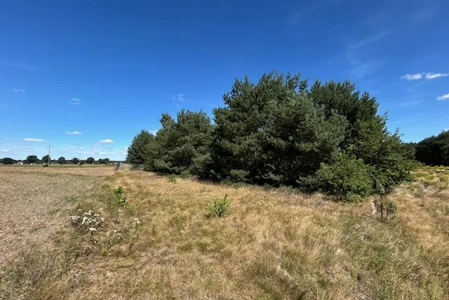 Działka na sprzedaż w Serock   o powierzchni 1300 mkw