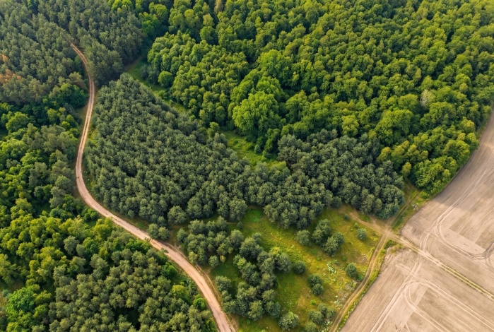 Działka na sprzedaż w Wołów   o powierzchni 594 mkw