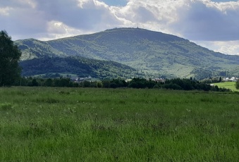 Działka na sprzedaż Lipowa  835779