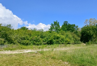 Działka Sprzedam mazowieckie Serock -2