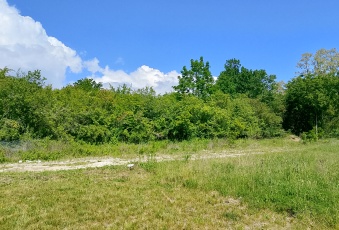 Działka Sprzedam mazowieckie Serock -3