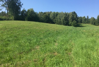 Działka na sprzedaż Bieliny  836491