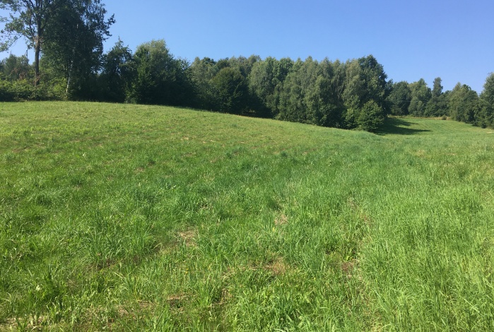 Działka na sprzedaż w Bieliny Bieliny Makoszyn o powierzchni 2950 mkw