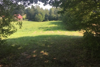 Działka sprzedaż Bieliny Bieliny Makoszyn 2950 mkw Działka Sprzedam świętokrzyskie Bieliny Bieliny-1