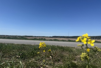 Działka Sprzedam wielkopolskie Powidz Powidz-3