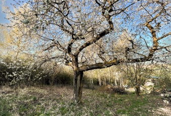 Działka Sprzedam małopolskie Jerzmanowice-Przeginia -3