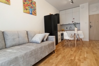 Mieszkanie sprzedaż Łódź Śródmieście Dowborczyków 32 mkw Mieszkanie Sprzedam łódzkie Łódź Śródmieście-2