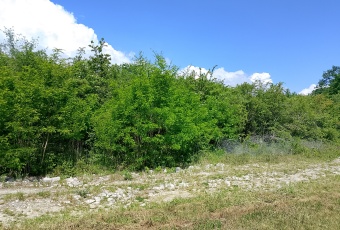 Działka Sprzedam mazowieckie Serock -2
