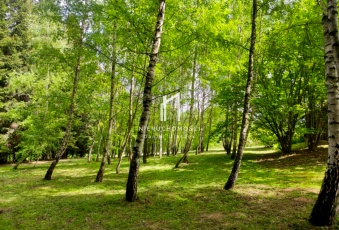 Dom Sprzedam podkarpackie Jasło -3