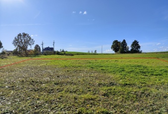 Działka sprzedaż Linia Strzepcz Kasztanowa 1013 mkw Działka Sprzedam pomorskie Linia Strzepcz-2
