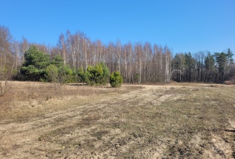 Działka sprzedaż Radzymin Pogodna 8171 mkw Działka Sprzedam mazowieckie Radzymin -1