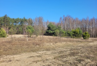 Działka sprzedaż Radzymin Pogodna 8171 mkw Działka Sprzedam mazowieckie Radzymin -2
