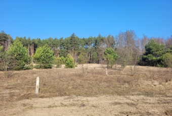 Działka sprzedaż Radzymin Pogodna 8171 mkw Działka Sprzedam mazowieckie Radzymin -3