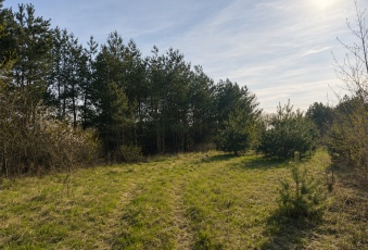Działka Sprzedam warmińsko-mazurskie Łukta Komorowo-3