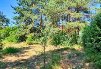 Działka Sprzedam pomorskie Skarszewy -2