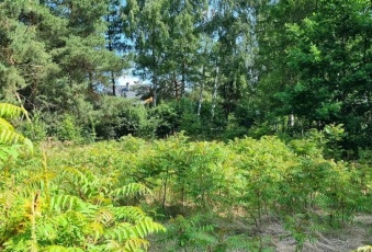 Działka Sprzedam pomorskie Skarszewy -3