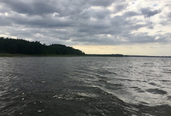 Działka sprzedaż Zalewo Likszany 4840 mkw Działka Sprzedam warmińsko-mazurskie Zalewo -2