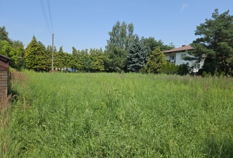 Działka sprzedaż Warszawa Wilanów Rosy 1063 mkw Działka Sprzedam mazowieckie Warszawa Wilanów-2