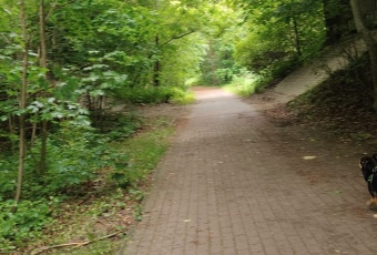 Działka sprzedaż Skarszewy Nad Stawem 1000 mkw Działka Sprzedam pomorskie Skarszewy -1