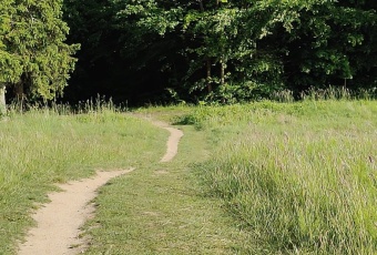 Działka sprzedaż Skarszewy Nad Stawem 1000 mkw Działka Sprzedam pomorskie Skarszewy -2