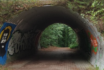 Działka sprzedaż Skarszewy Nad Stawem 1000 mkw Działka Sprzedam pomorskie Skarszewy -3