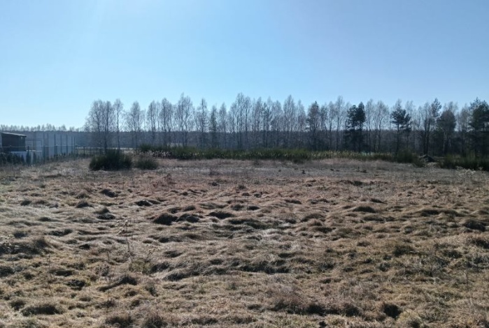 Działka na sprzedaż w Ładzice Wierzbica  o powierzchni 1500 mkw