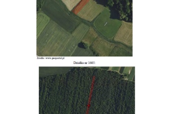 Działka na sprzedaż Rachanie  836960