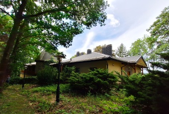 Komercja na sprzedaż Leśna  836965