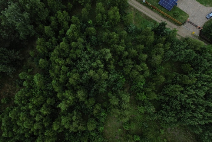 Działka na sprzedaż w Świętajno Kolonia  o powierzchni 6600 mkw