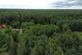 Działka Sprzedam warmińsko-mazurskie Świętajno Kolonia-2