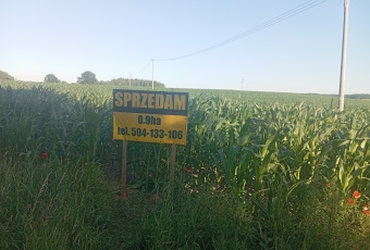 Działka na sprzedaż Stary Dzierzgoń  837010