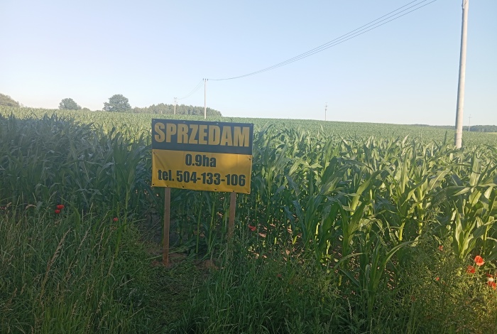 Działka na sprzedaż w Stary Dzierzgoń Stare Miasto  o powierzchni 9248 mkw