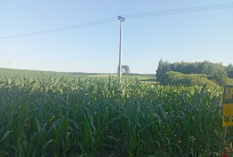 Działka sprzedaż Stary Dzierzgoń Stare Miasto 9248 mkw Działka Sprzedam pomorskie Stary Dzierzgoń Stare Miasto-1