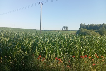 Działka sprzedaż Stary Dzierzgoń Stare Miasto 9248 mkw Działka Sprzedam pomorskie Stary Dzierzgoń Stare Miasto-2