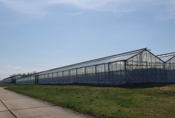 Działka na sprzedaż Pieńsk  837054
