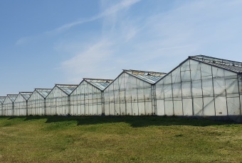 Działka sprzedaż Pieńsk 398295 mkw Działka Sprzedam dolnośląskie Pieńsk -1