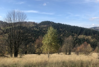 Działka Sprzedam małopolskie Zawoja Zawoja-1