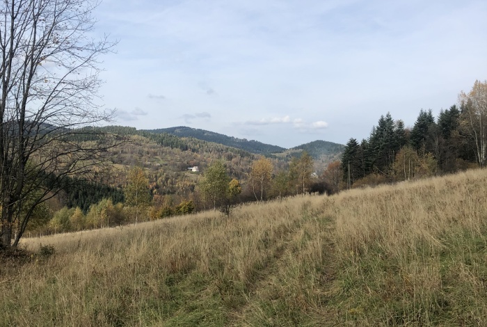 Działka na sprzedaż w Zawoja Zawoja  o powierzchni 8810 mkw