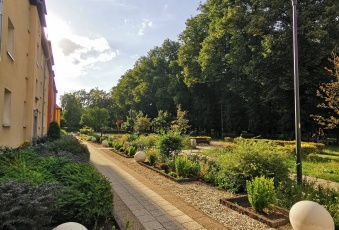 Mieszkanie sprzedaż Gdańsk Orunia Ramułta 65 mkw Mieszkanie Sprzedam pomorskie Gdańsk Orunia-3