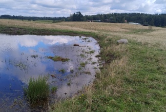 Działka Sprzedam warmińsko-mazurskie Kruklanki Kruklanki-3