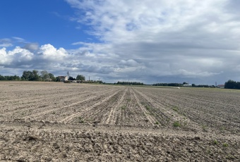 Działka Sprzedam mazowieckie Czerwińsk nad Wisłą -2