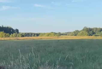 Działka sprzedaż Kotuń Żdżar 18500 mkw Działka Sprzedam mazowieckie Kotuń Żdżar-2