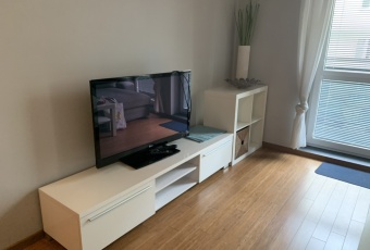 Mieszkanie wynajem Poznań 46 mkw Mieszkanie Wynajmę wielkopolskie Poznań -3