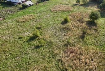 Działka sprzedaż Wołów Lubiąż 6371 mkw Działka Sprzedam dolnośląskie Wołów -2